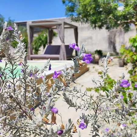 Masseria Asteri Guest house Cannole