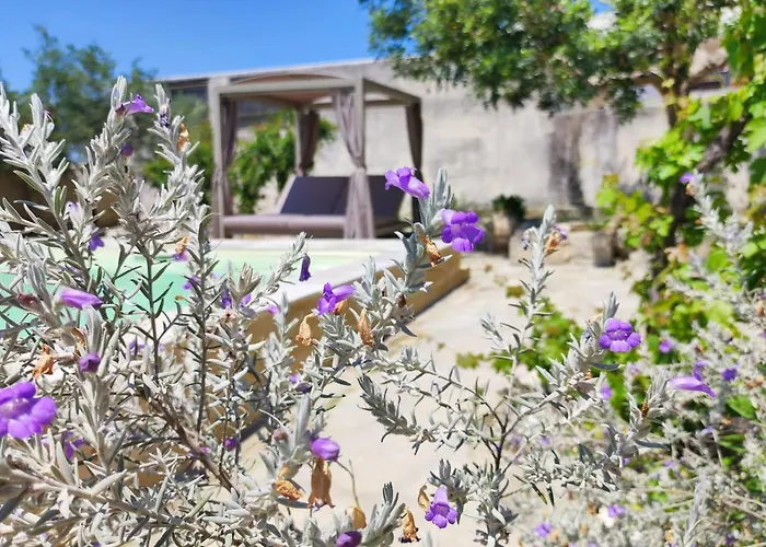 Masseria Asteri בית הארחה Cannole